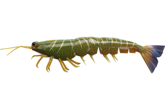 MEGAPRAWN 165mm / 6.5"