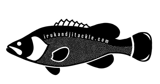 Irukandji Murray Cod Sticker
