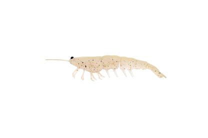 MEGAPRAWN 100mm / 4"