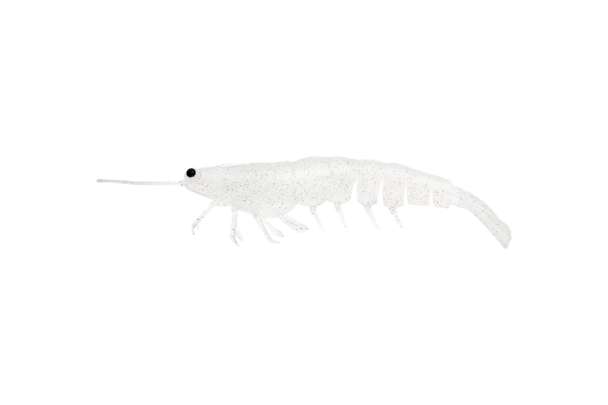 MEGAPRAWN 100mm / 4"