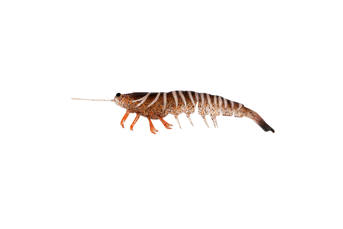 MEGAPRAWN 100mm / 4"