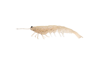 MEGAPRAWN 125mm / 5"