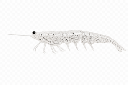 MEGAPRAWN 125mm / 5"