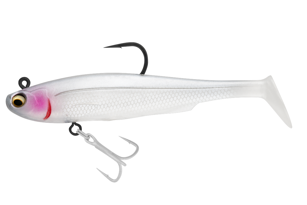 SICARIO DTF Pro & Pro H