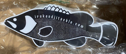 Irukandji Murray Cod Sticker