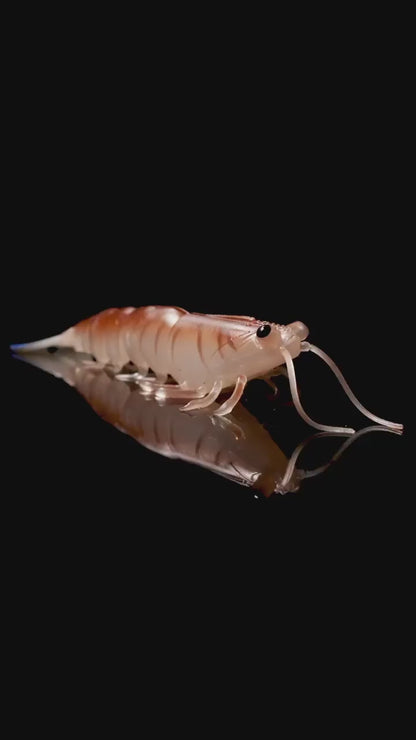 MEGAPRAWN 100mm / 4"