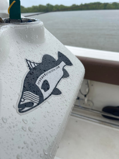 Irukandji Barramundi Sticker