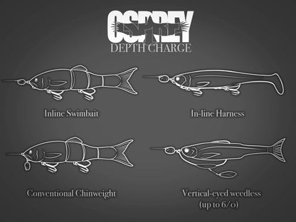 Depth Charge - Interchangeable Inline / Chin Weights